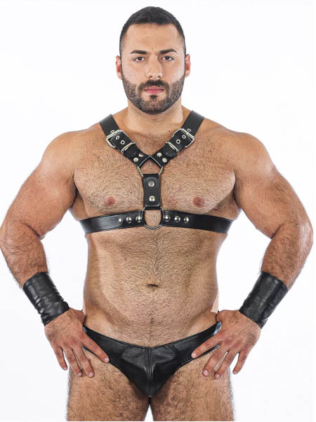 Leather Grizzly Harness