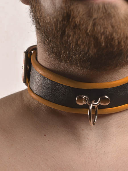 Leather Piping Collar