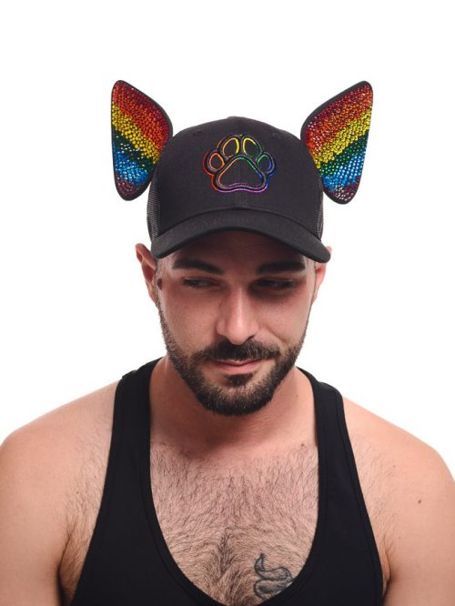 Pride Collection – Mistrbear